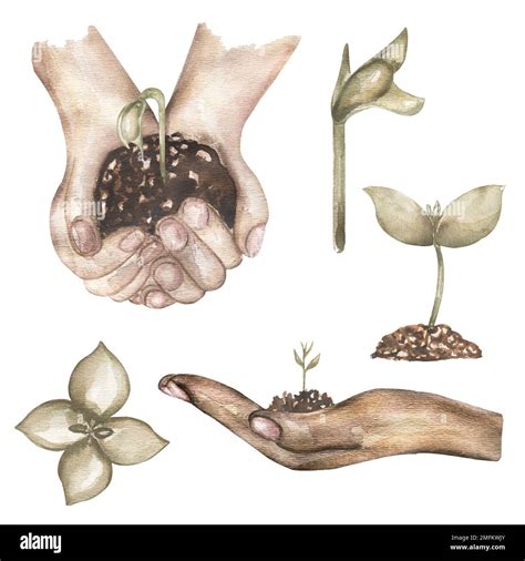 Gardening Clipart, Watercolor vintage Planting time Diy clip art ...