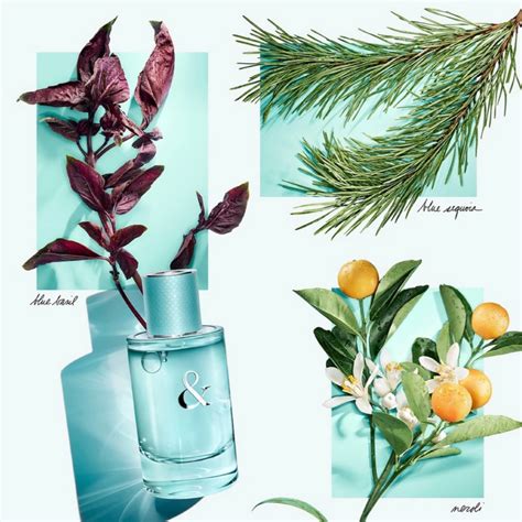 Tiffany & Co. Love Eau de Parfum for Women – Perfume Network India