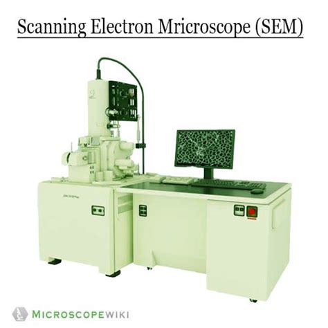 Electron Microscope Drawing 的图像结果