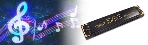 Bee bee Mouth Organ with 48 holes(Multi Color) : Amazon.in: Musical ...