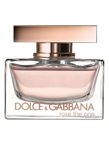 Beschreibend Alice Unprätentiös dolce gabbana rose the one perfume ...