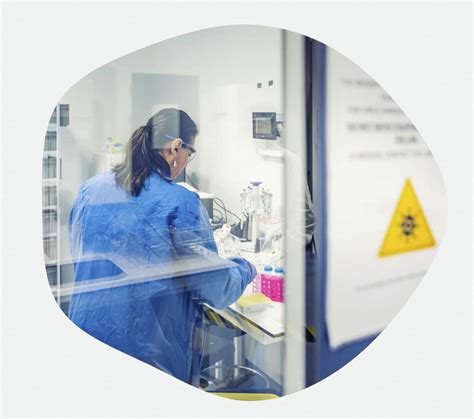 Viral Vector Manufacturing Process 的图像结果