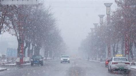 东北、内蒙古多地发生特大暴雪，专家：有可能引发雪灾 - 知乎