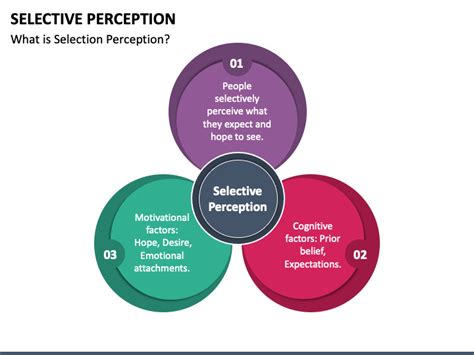 Image result for Selective Perception Examples