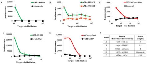 A Split-Luciferase Reporter Recognizing GFP and mCherry Tags to ...