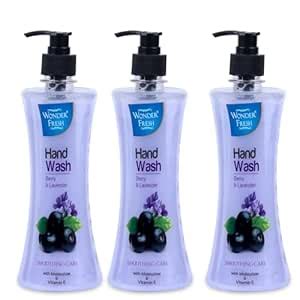 Wonder Fresh Premium Liquid Handwash Bottle with Pump | Germ Protection ...