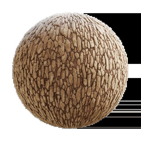 Image result for Oak Tree Rot Base of Trunk