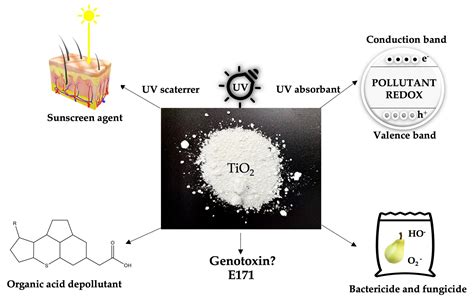 Titanium Dioxide: Structure, Impact, and Toxicity