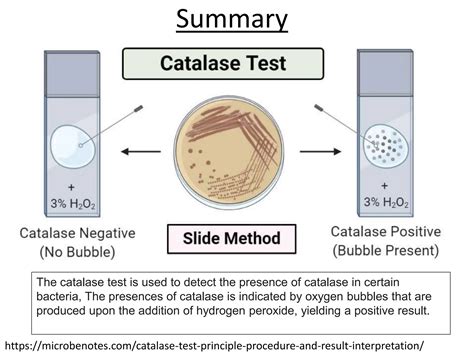 catalase test presented by dr mohan singh dhakad | PPTX