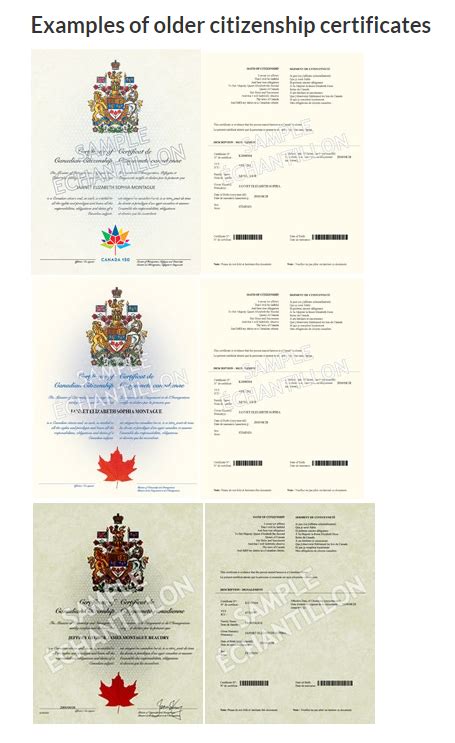 加国开放电子版公民证 含金量“最高”的护照之一 - 人在温哥华网 VanPeople.com