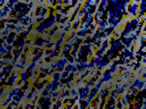 Image result for Random Texture Pyplot