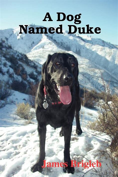 Buy A Dog Named Duke Book Online at Low Prices in India | A Dog Named ...