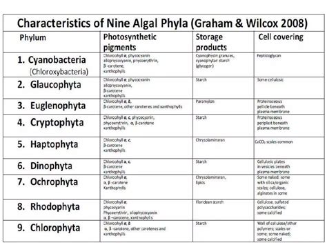 Classification of algae.pdf