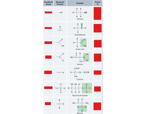 Image result for Macromolecules Functional Groups