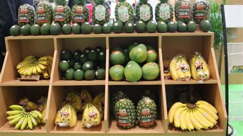 2017China FVF主宾国菲律宾访谈：中菲两国果蔬贸易前景光明 菲牛油果或将获准 | 国际果蔬报道