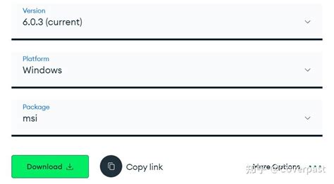 MongoDB Tutorial Mac 的图像结果