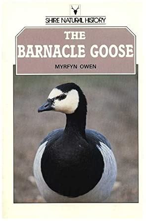 Buy The Barnacle Goose (Shire natural history) Book Online at Low ...