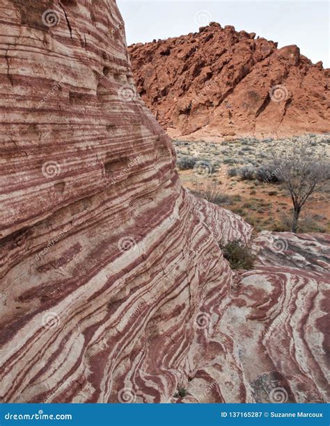 Calico Basin, Red Rock Conservation Area, Nevada USA Stock Image ...