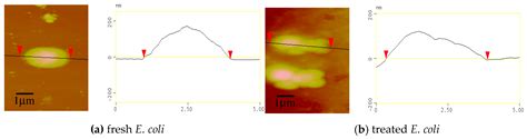 Microwave Assisted Preparation of Antimicrobial Chitosan with Guanidine ...