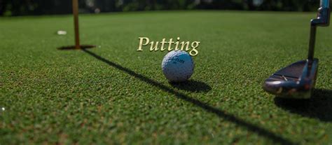 Putting Lessons 的图像结果