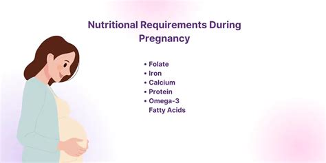 Nutrition and Weight Gain During Pregnancy