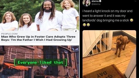 20 Of June's Most Wholesome Memes | Know Your Meme