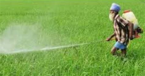 Green Revolution in India - FairGaze