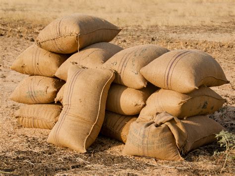 Storage — lesson. Science State Board, Class 8.