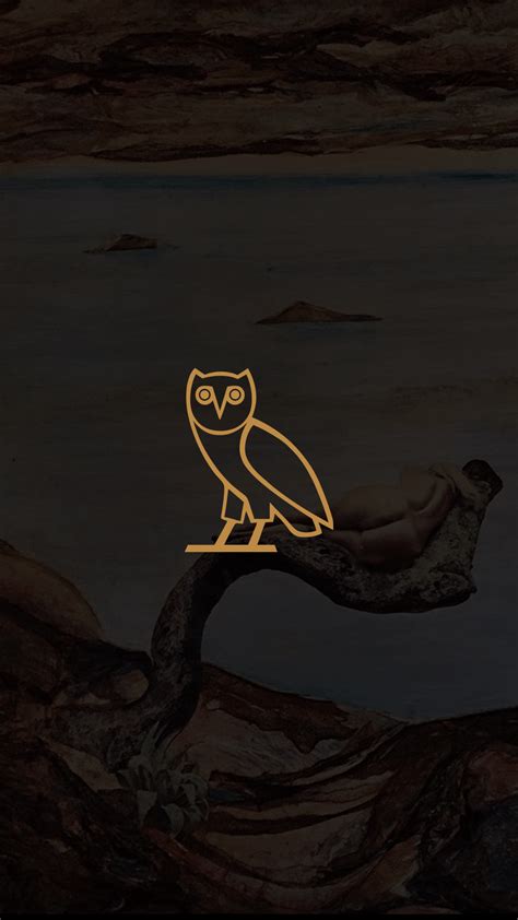 Drake Owl Wallpapers - 4k, HD Backgrounds on WallpaperBat