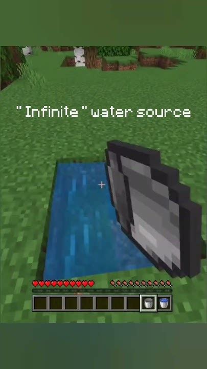 Minecraft Infinite Water Source 的图像结果