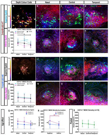 IJMS | Special Issue : Immune Homeostasis and Regulation at the Surface ...