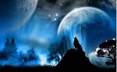 Cool Wallpaper by Hd Wallpapers Fans Cool Hd Backgrounds Cool Wallpaper