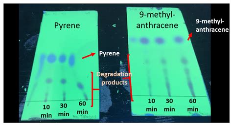 Evaluation of an Ozone Chamber as a Routine Method to Decontaminate ...