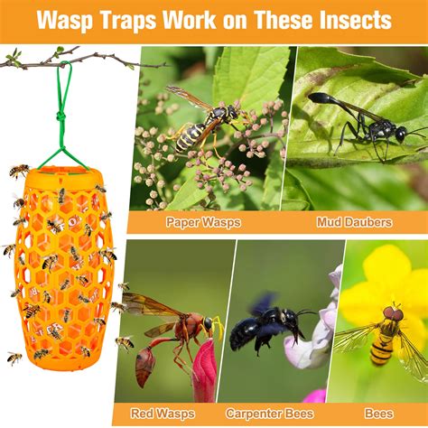 Paper Wasp Trap Rescue TSW Visilure TrapStik For Wasps 3 TRAPS