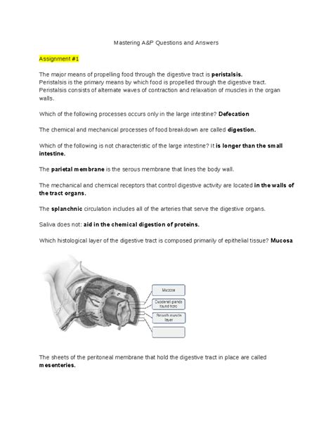 Mastering AP Questions and Answers - Mastering A&P Questions and ...