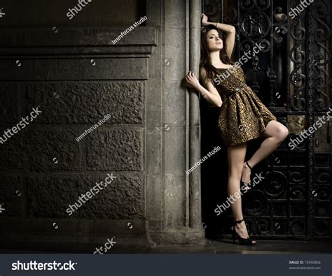 Image result for Dropcam Outdoor Model