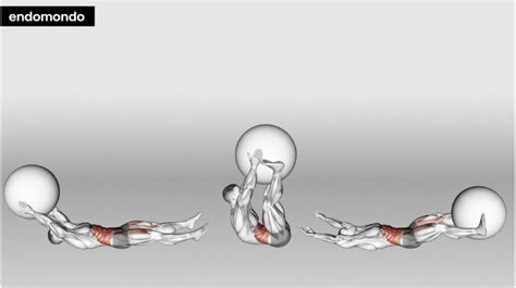 Image result for Contralateral Exercise Ball