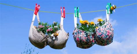 Why Padded Bras Suck? (Why They Don’t)