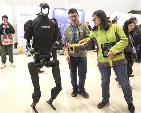 Chinese Android Robot 的图像结果