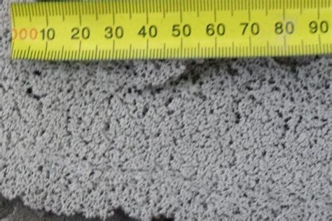 Image result for Titanium Biscuits