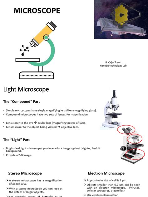 Image result for Introduction to Microscope Lab