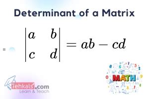 Determinant of a Matrix 的图像结果