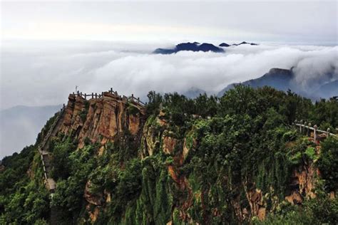 连云港：花果山雾凇景美如画_江苏国际在线