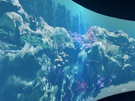 Virtual Aquarium 的图像结果
