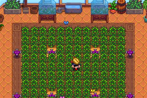 Stardew Valley Greenhouse: 16 Best Crops to Grow - Stardew Guide
