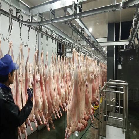 Image result for Sheep Slaughter Process