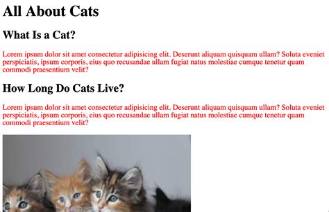 Internal CSS Example 的图像结果