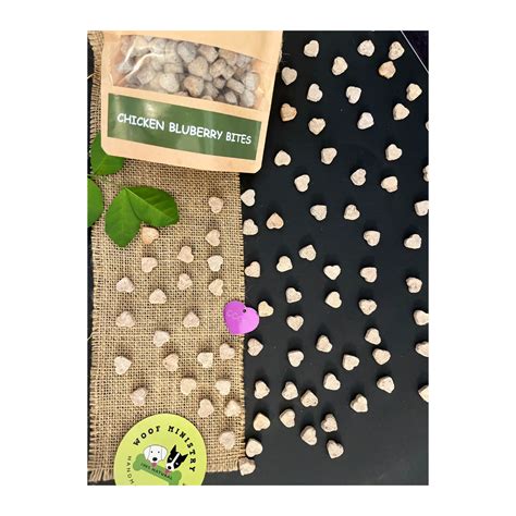 Woof Ministry Chicken Blueberry Bites (100gms) – A Petter Life