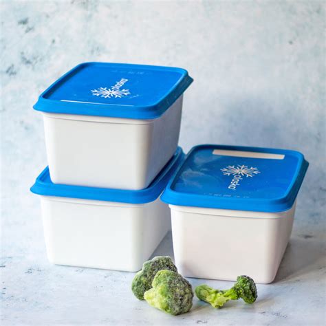 Image result for Freezer Storage Containers