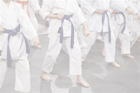 Karate Class 的图像结果